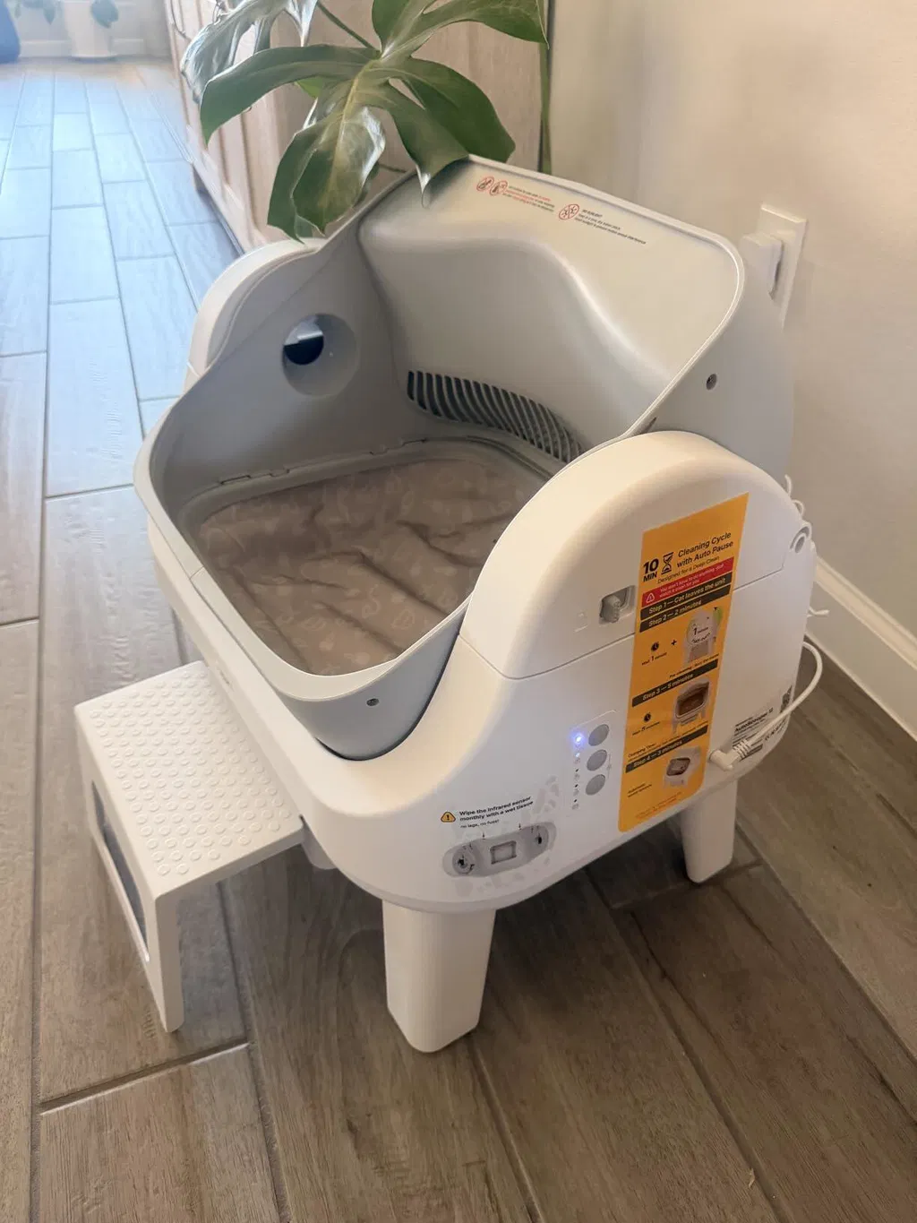KittyScooper customer photo 2