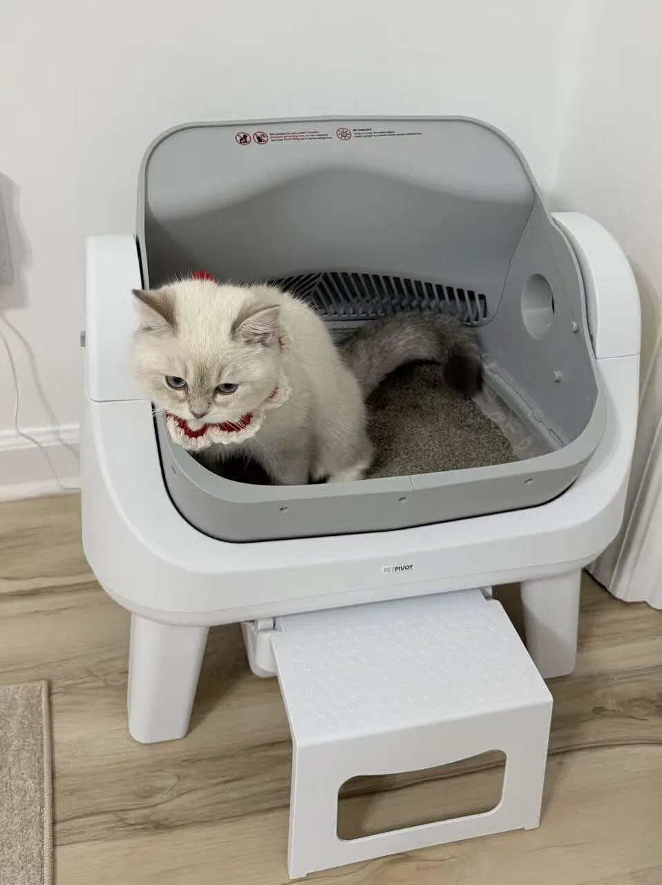 KittyScooper customer photo 3