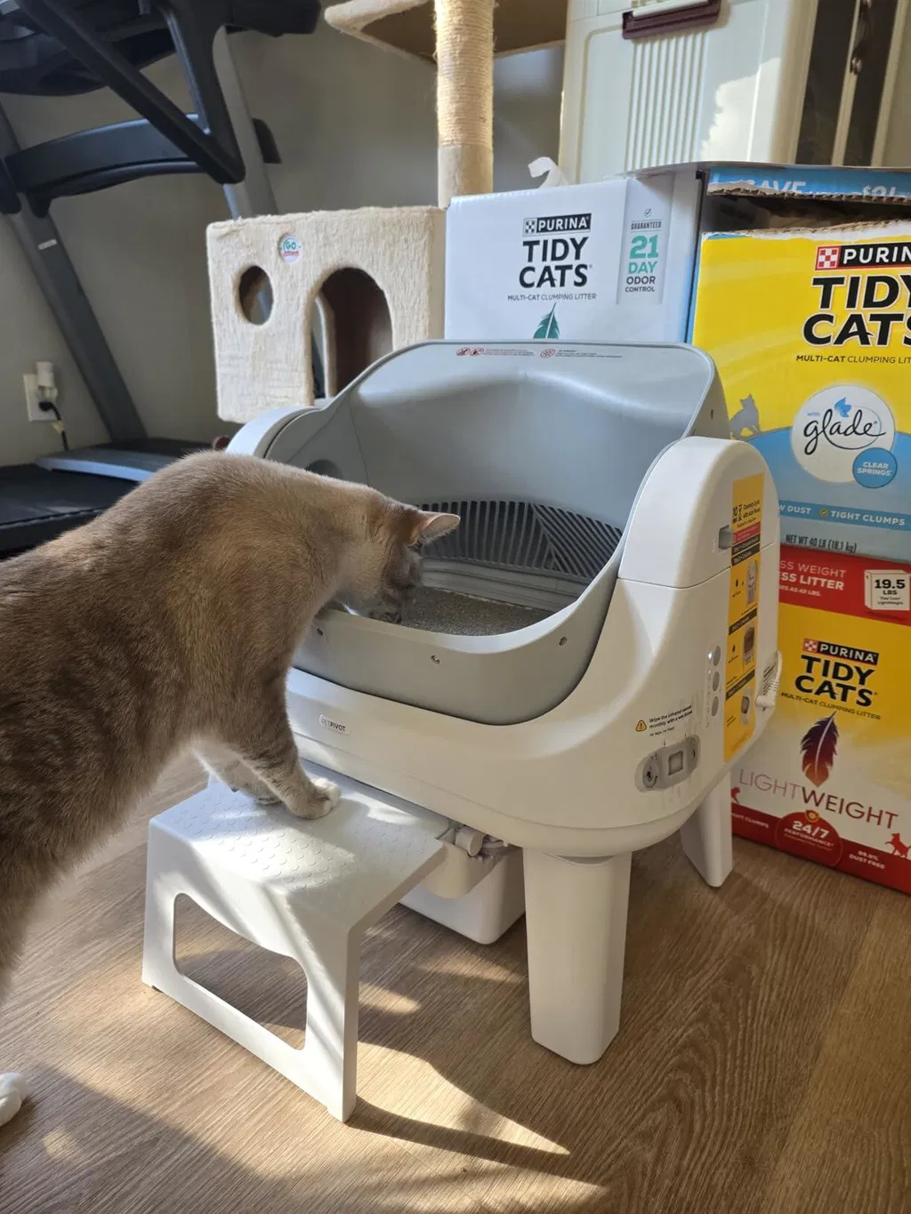 KittyScooper customer photo 8