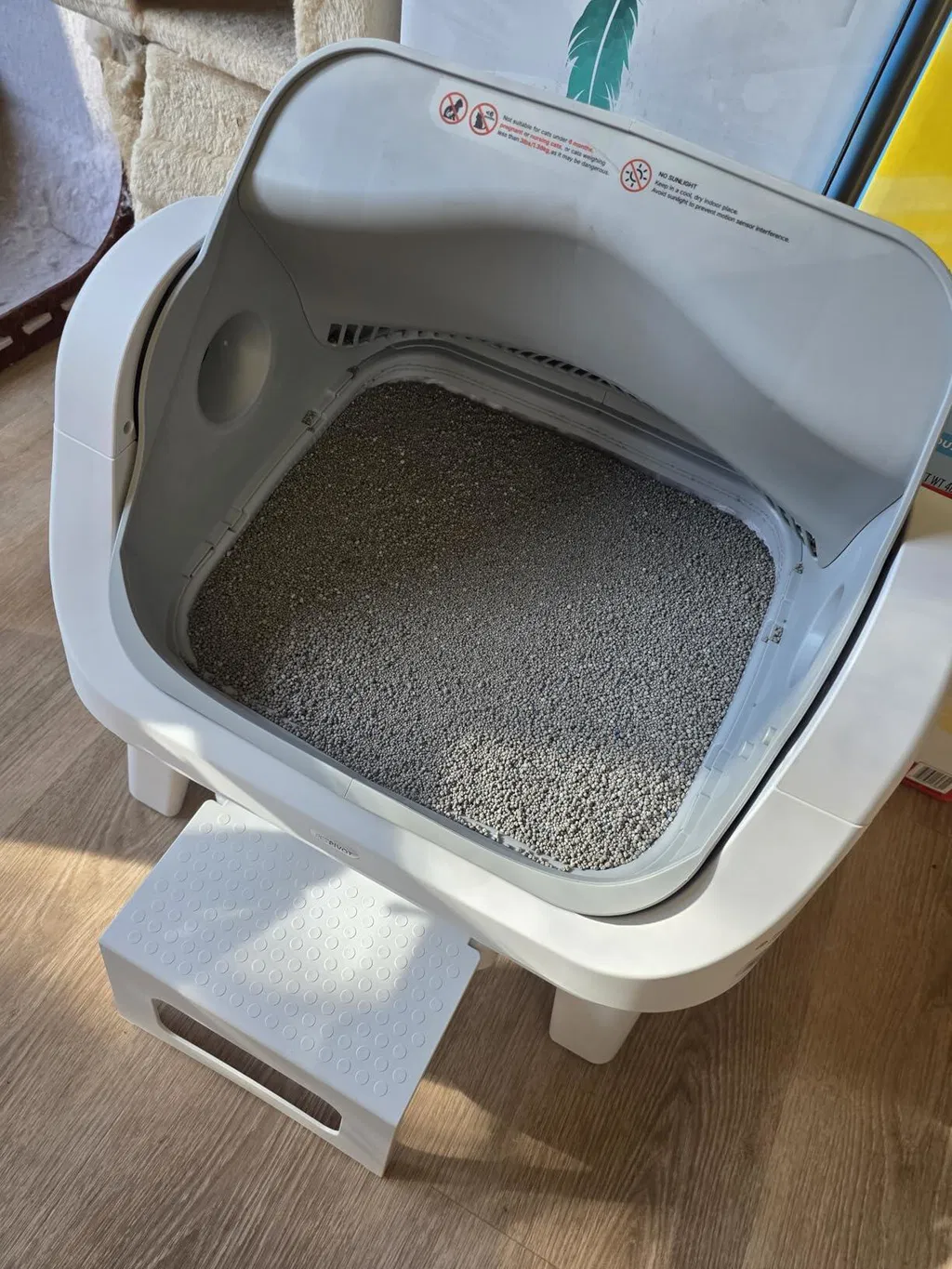 KittyScooper customer photo 10