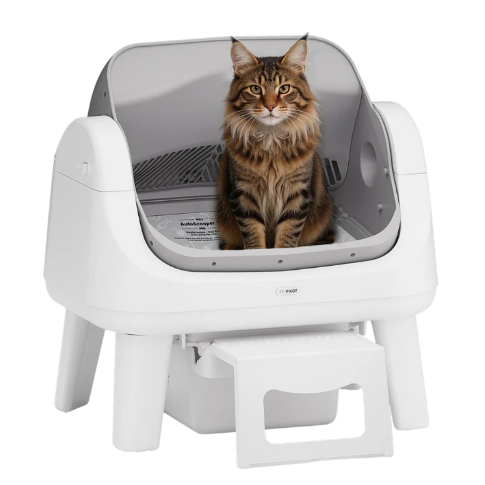 KittyScooper clean modern footprint